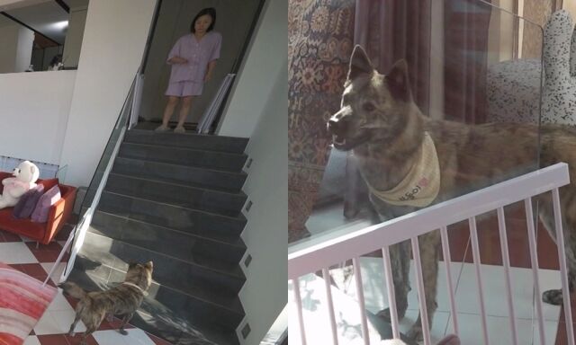 '나혼산' 박나래/MBC