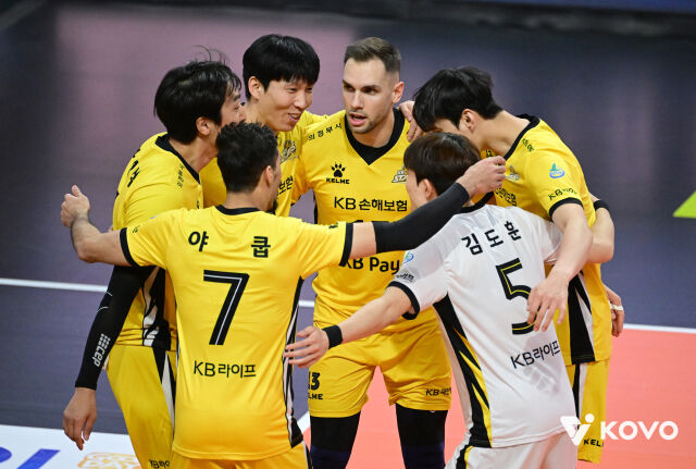KB손해보험 배구단./KOVO