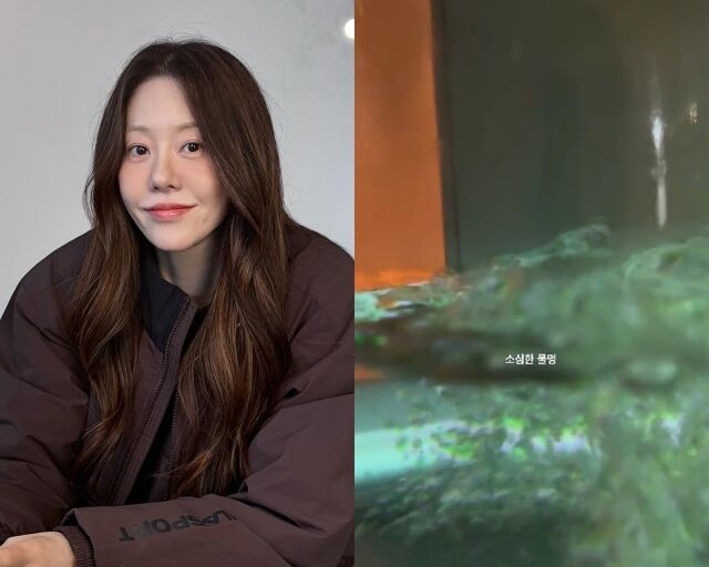 배우 고현정, 고현정이 게재한 사진/고현정 소셜미디어