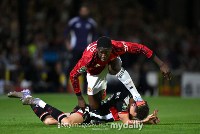 코비 마이누./게티이미지코리아