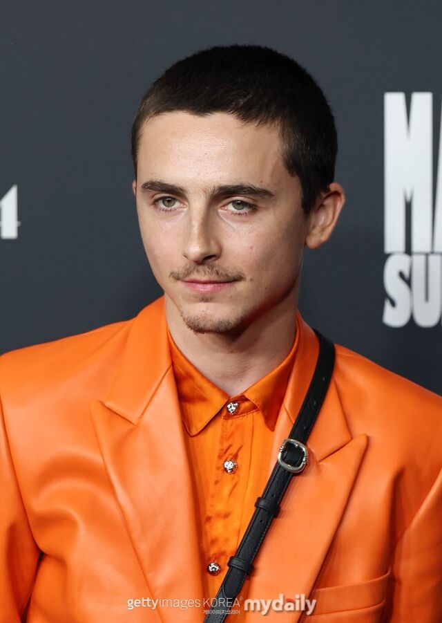 티모시 샬라메 / 게티이미지코리아