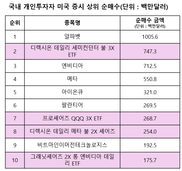 국내 개인투자자 미국 증시 상위 순매수 /자료=국제금융센터, 최주연 기자