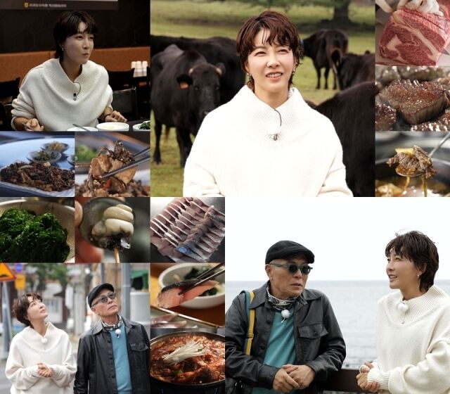 진서연 / TV조선