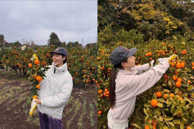 권유리가 제주도에서 귤을 따는 일상을 공개했다. / 권유리 인스타그램
