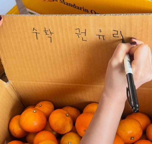 권유리가 제주도에서 귤을 따는 일상을 공개했다. / 권유리 인스타그램