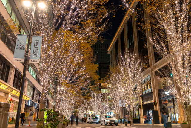 도쿄 일루미네이션. /게티이미지 코리아