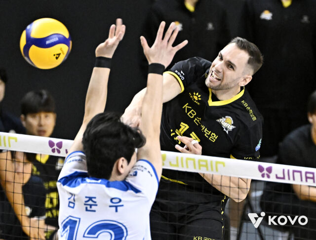 KB손해보험 비예나./KOVO