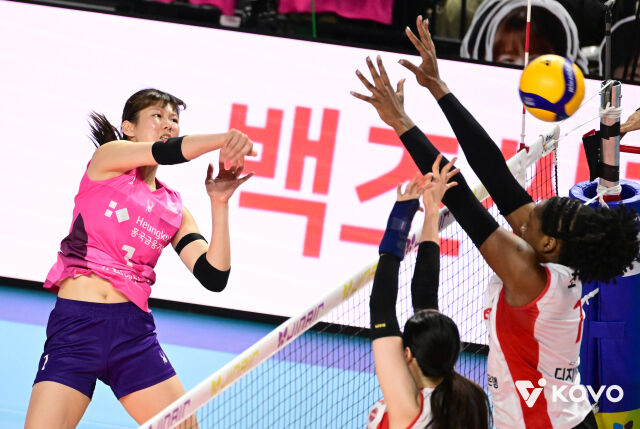 흥국생명 김다은./KOVO