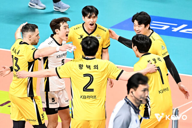 승리한 KB손해보험./KOVO