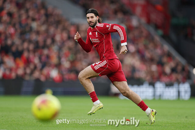 도미니크 소보슬라이/게티이미지코리아