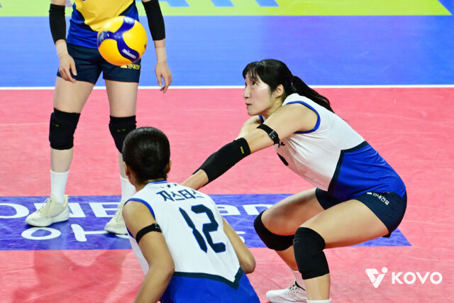 정지윤의 리시브./KOVO