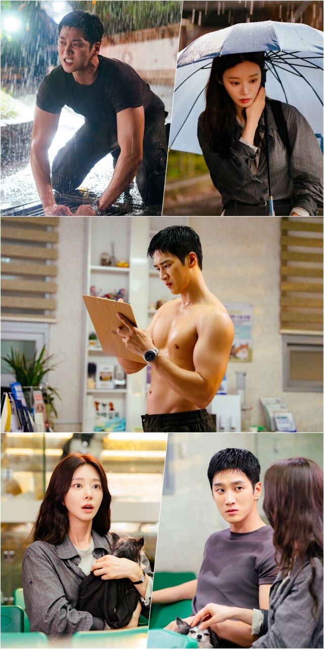 안보현과 또 다시 얽힌 이주빈 / tvN '스프링 피버'