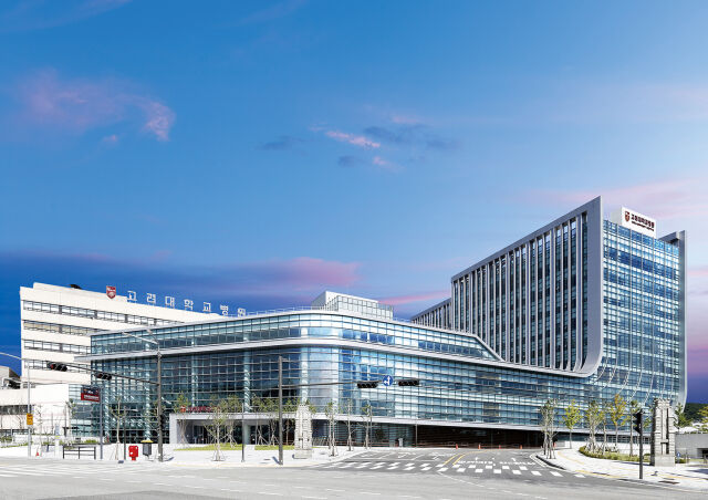 고려대학교 안암병원 전경. /고려대학교 안암병원
