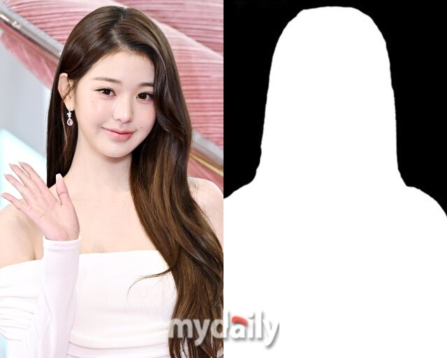 그룹 아이브 장원영, 기사 이해를 돕기 위한 여성 실루엣/마이데일리 DB