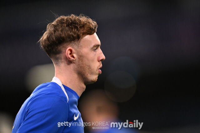 콜 파머./게티이미지코리아