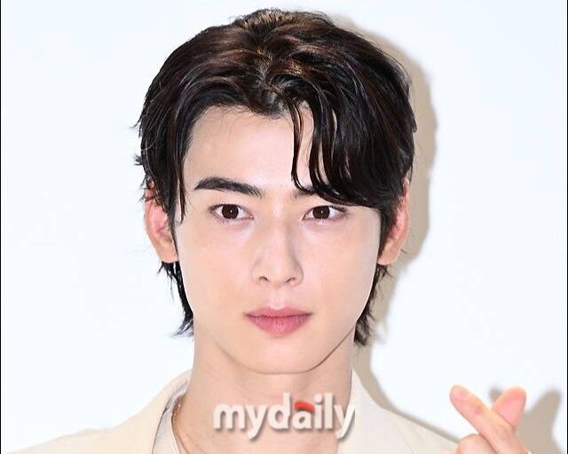 차은우 / 마이데일리