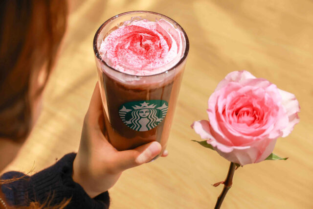 /스타벅스 코리아