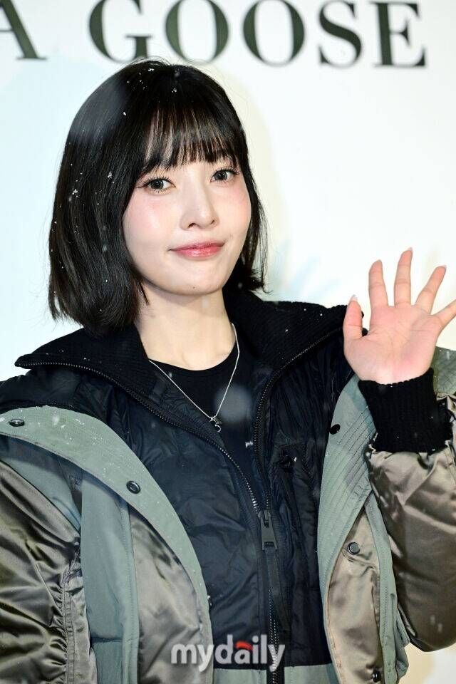 조이 / 마이데일리