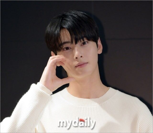 차은우./마이데일리DB