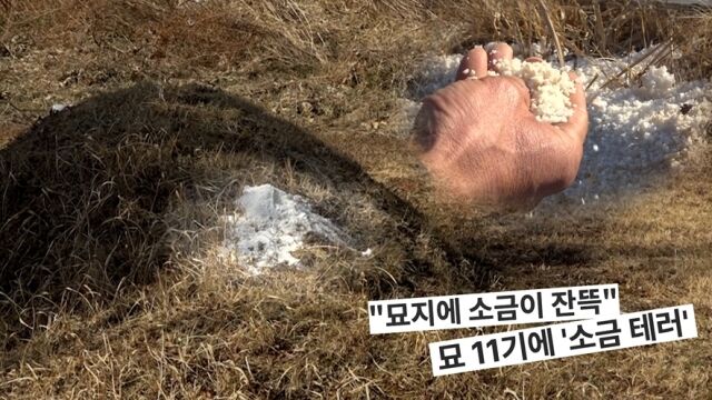 '궁금한 이야기 Y' / SBS