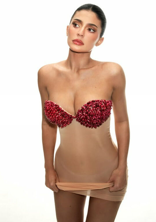 카일리 제너./소셜미디어