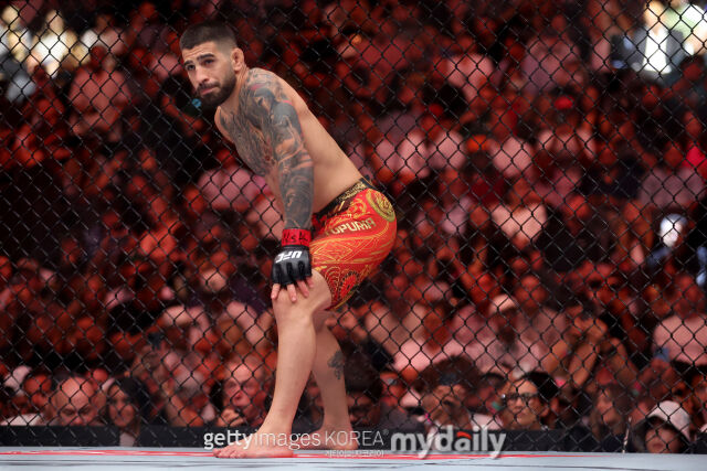 토푸리아. /게티이미지코리아