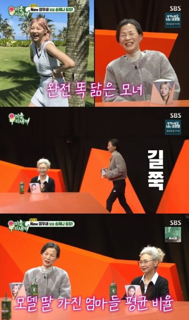 모델 송해나의 어머니가 '미운 우리 새끼' 스튜디오에 처음으로 모습을 드러내 시청자들의 시선을 사로잡았다./SBS '미운 우리 새끼'