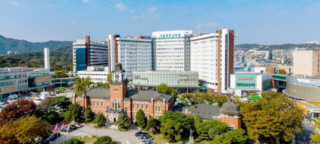 서울대병원 전경. /서울대병원