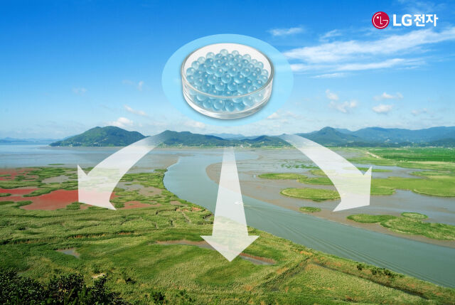 순천만 갯벌에 '마린 글라스'를 적용하는 모습 예시. /LG전자