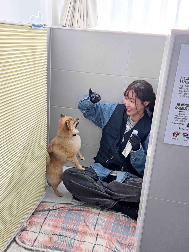 임수향 / 닥터독 