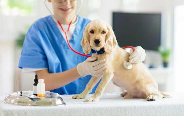 /게티이미지뱅크