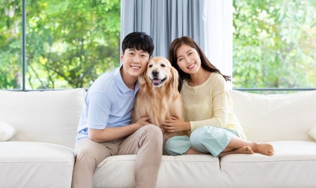 장례는 시작일 뿐이다. 상조업계 자본이 펫 시장에 투입되면서 펫 상조는 ‘장례 대행’에 더해 ‘펫 라이프 통합 솔루션’으로 진화하고 있다./게티이미지뱅크