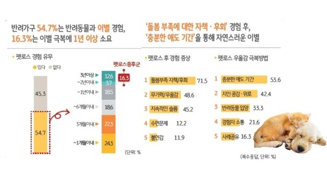 2025 한국 반려동물 보고서 펫로스 경험 관련 조사. /KB금융지주 경영연구소