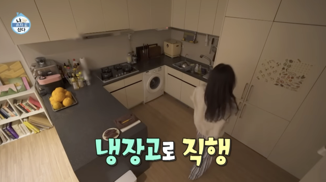 MBC '나 혼자 산다'