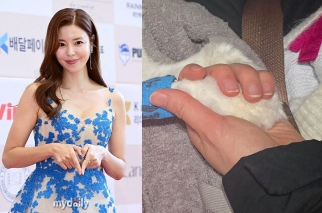 배우 김규리가 반려묘를 떠나 보낸 심경을 전했다. / 마이데일리 및 김규리 소셜미디어