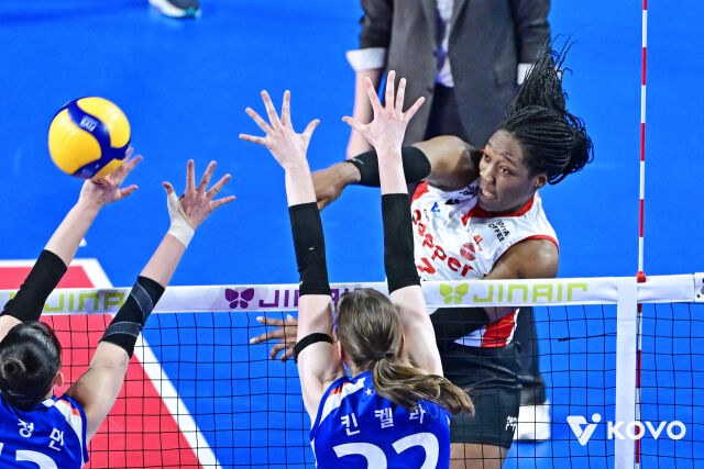 조이 웨더링튼./KOVO