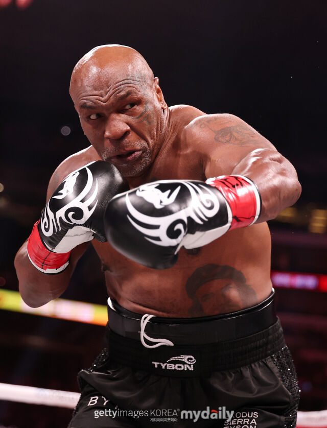 타이슨. /게티이미지코리아