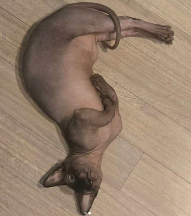 나나./소셜미디어