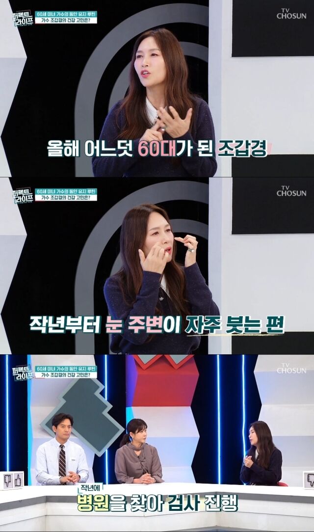 TV조선 '퍼펙트 라이프'/TV조선 '퍼펙트 라이프' 방송 캡처