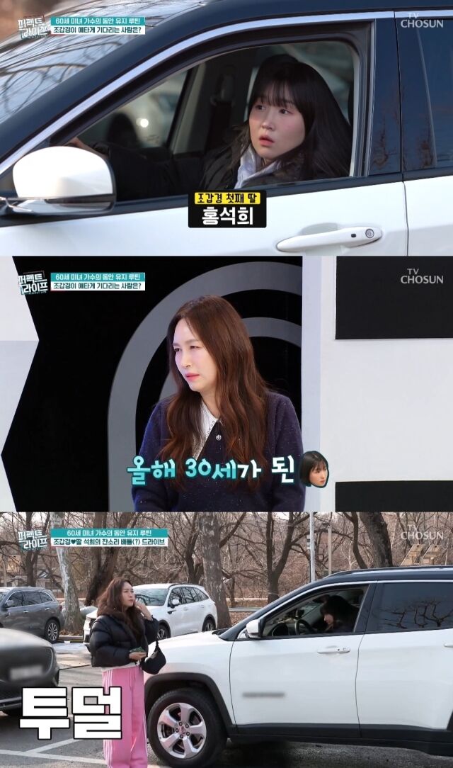 TV조선 '퍼펙트 라이프'/TV조선 '퍼펙트 라이프' 방송 캡처