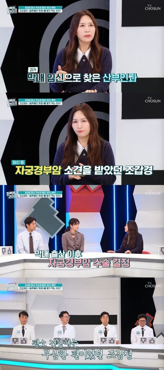 TV조선 '퍼펙트 라이프'/TV조선 '퍼펙트 라이프' 방송 캡처