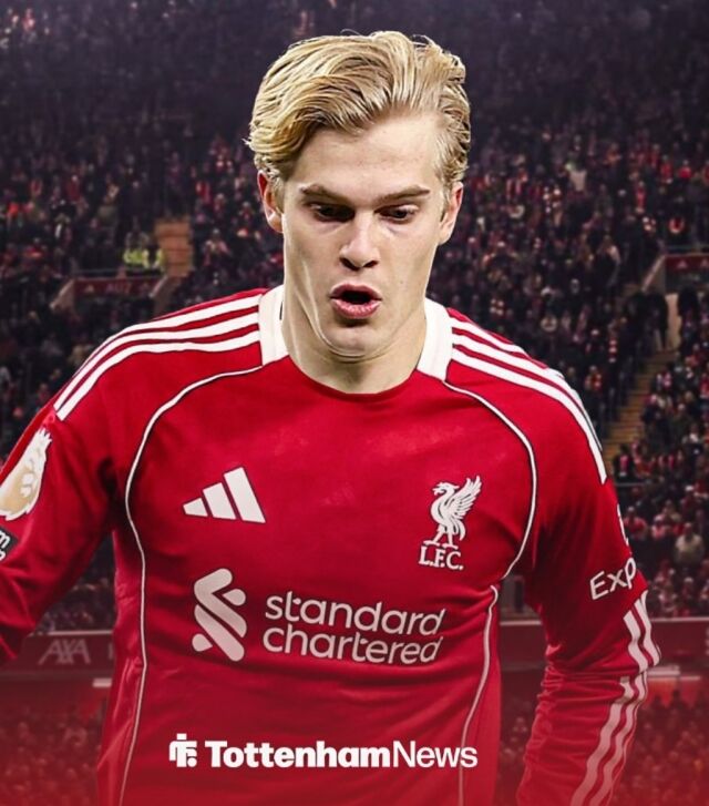 루카스 베리발/토트넘 홋스퍼 뉴스