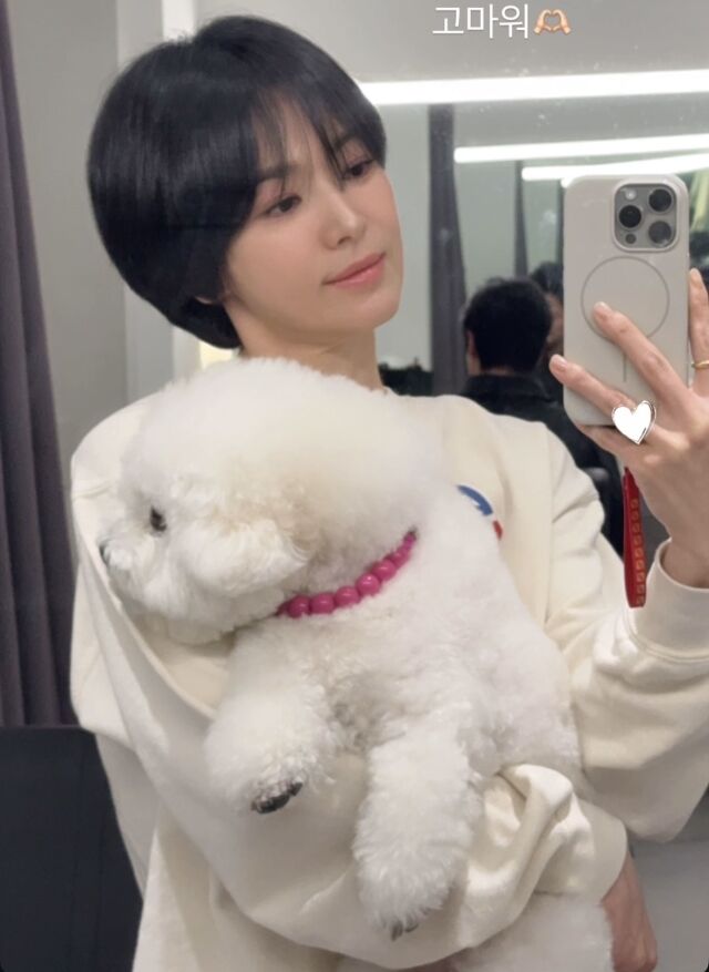 / 배우 송혜교 소셜미디어