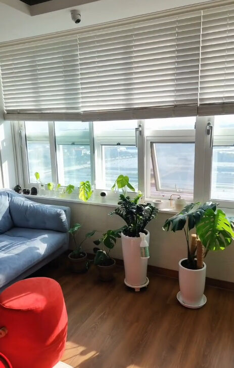 주사이모 게시물./소셜미디어