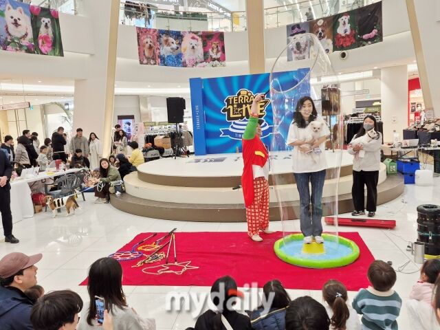 김효진 대표가 구조견과 함께 비눗방울 행사에 참여하고 있다. /방금숙 기자