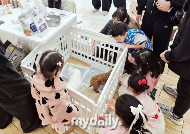 행사장을 찾은 어린이들이 구조견에게 관심을 보이고 있다. /방금숙 기자