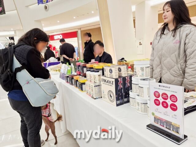 리홈 플리마켓 부스에서 반려견과 함께 온 시민이 물건을 살펴보고 있다. 수익금은 전액 기부된다. /방금숙 기자