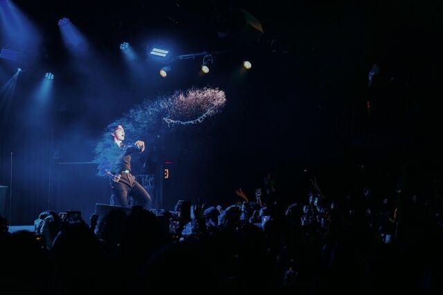 가수 주니 공연 / 모브컴퍼니