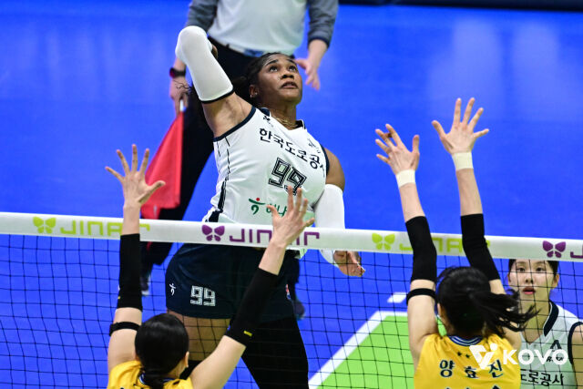 도로공사 모마./KOVO