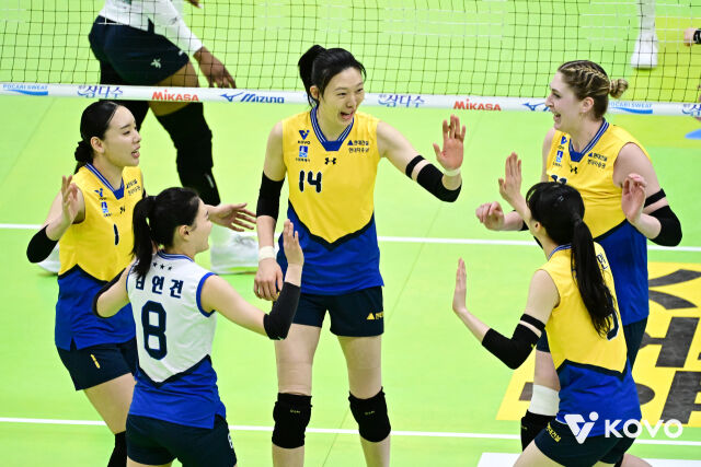 현대건설 선수단./KOVO